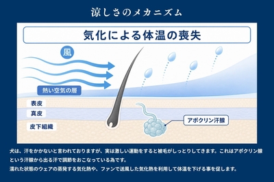 7_気化熱の仕組み