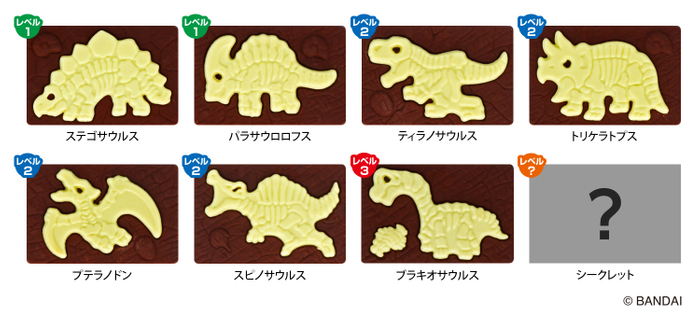 ラインアップ