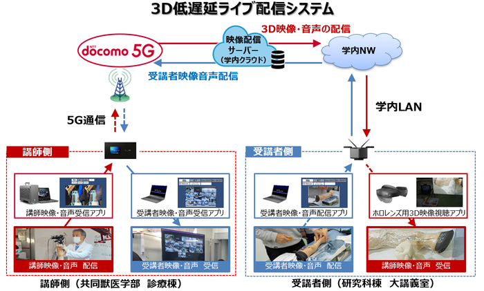 3D低遅延ライブ配信システム