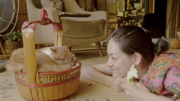 &copy;２０１２ レンタネコ製作委員会