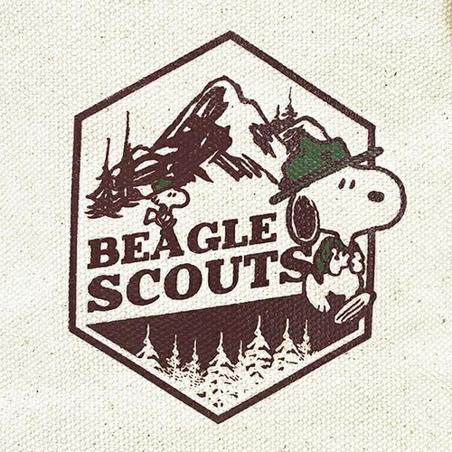 スヌーピーバッグ