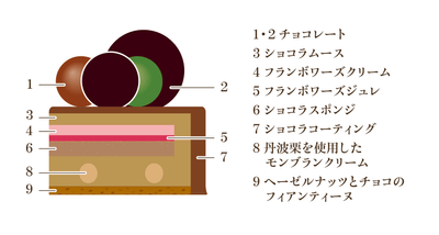 ノエルショコラフランボワーズ/断面図