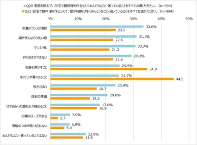 Q20 自宅で麺料理を作るうえでめんどうなこと・困っていること