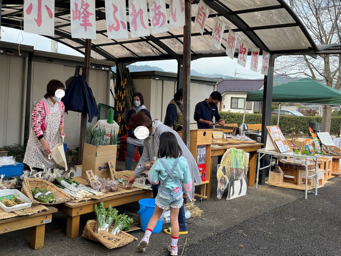 地元野菜が揃ってます