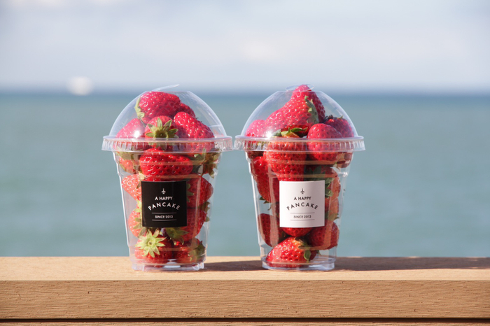 「幸せのいちご農園の摘みたていちご」　1パック600円(税別)