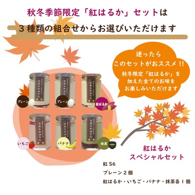 一番人気の「紅はるかスペシャルセット」5種類すべてのお味をお楽しみいただけます