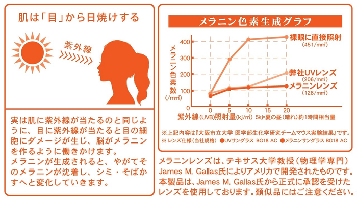 目が紫外線でダメージを受けるとメラニンを生成する