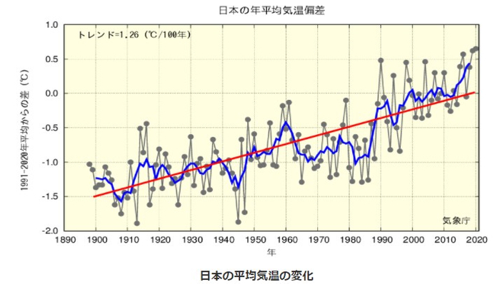 引用:日本の平均気温の変化(気象庁)