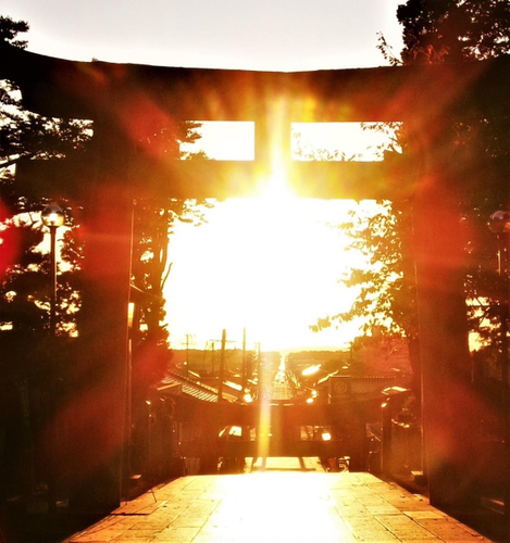 宮地嶽神社 光の道