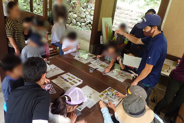 このトンボの名前はなにかな？