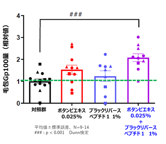 図2.毛包におけるGp100量への影響