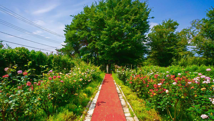 ハイジの村｜愛の女神