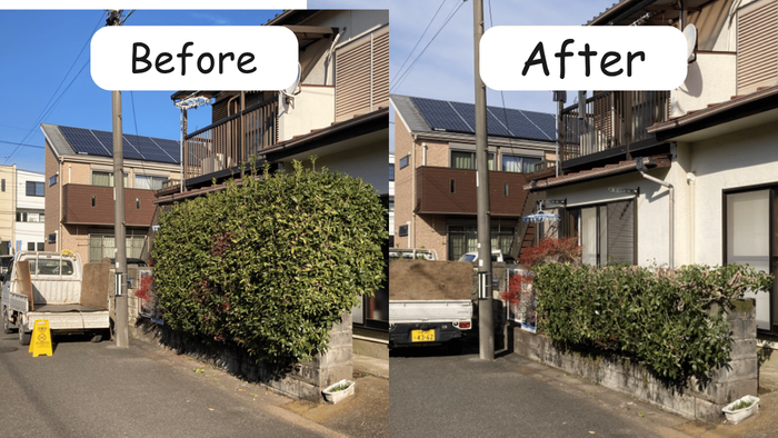 庭木の剪定の様子