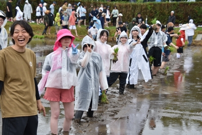 かっぱを着て水田へ