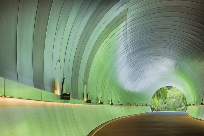 新緑に染まるトンネル