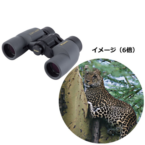 6倍タイプ BR6&times;30WP