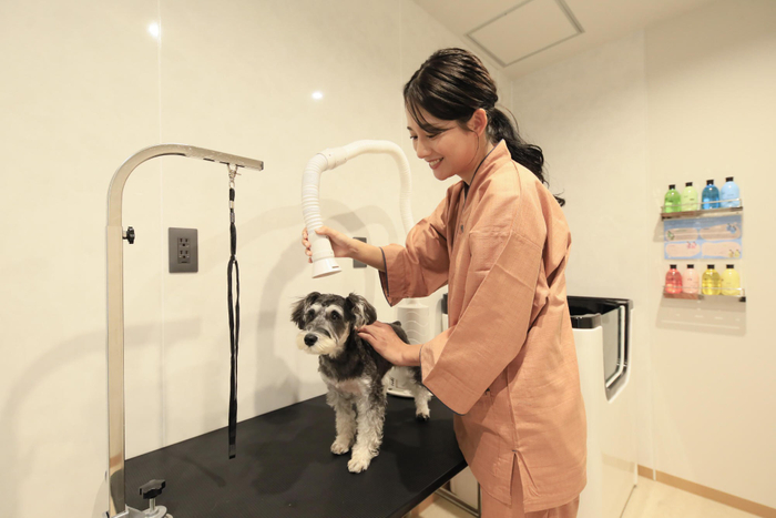 4種類のシャンプー＆リンスや復元ドライヤーを完備の＜トリミング＆ドライルーム＞