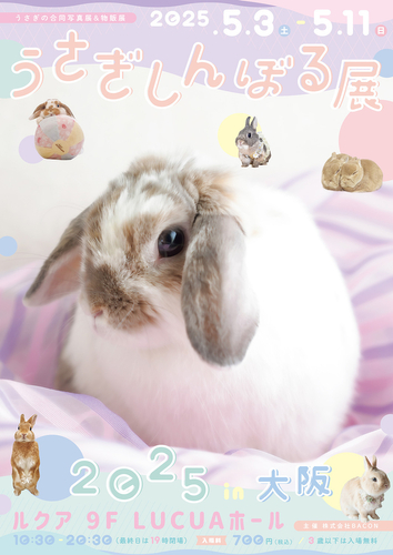 うさぎしんぼる展 キービジュアル