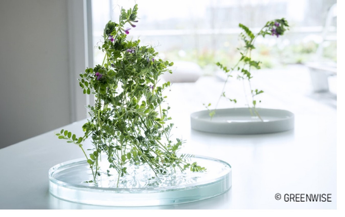 STABiO(TM) SLOW VASE TECH