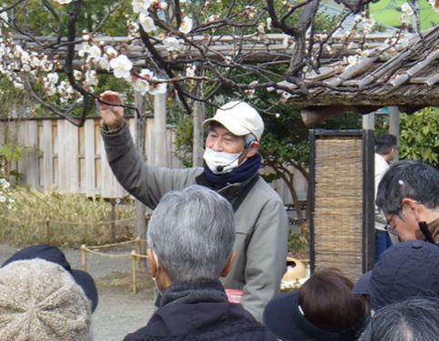 野草ウォッチング(過年度の様子)