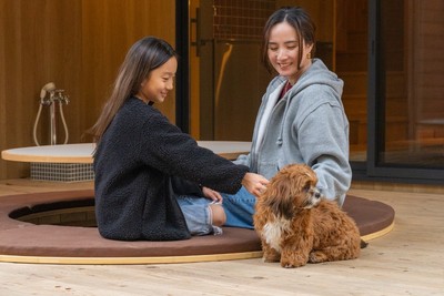 愛犬と一緒に
