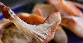 【11月6日解禁】タグ付き活松葉蟹を丸ごと1杯。1日1組限定、冬の美食を味わう蟹会席／夕日ヶ浦温泉「佳松苑 別邸ふうか」