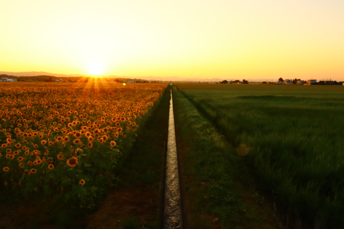 ※８枚組写真のうちの１枚
