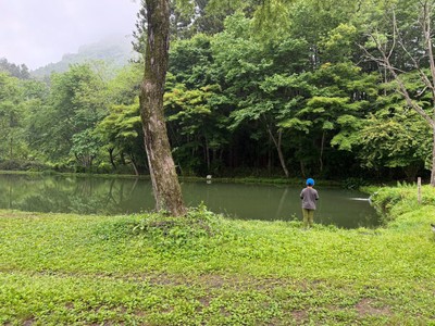 釣り堀の様子3