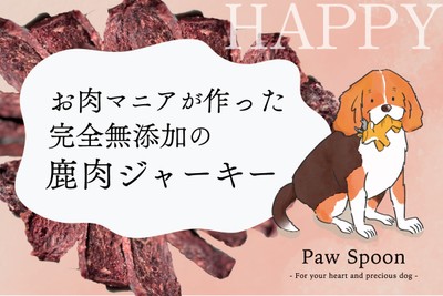 Paw Spoon