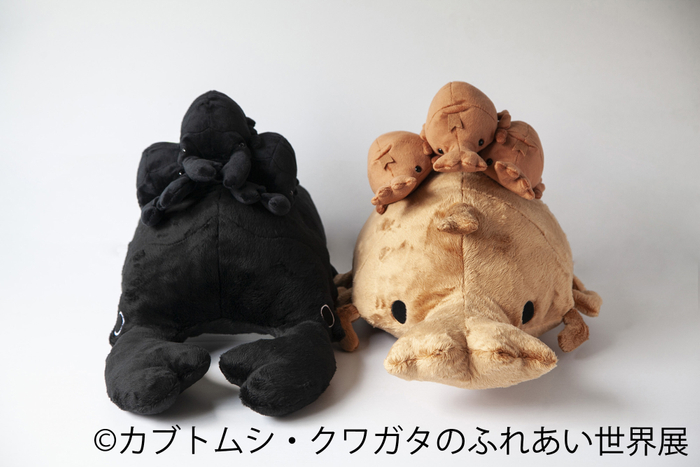 物販1