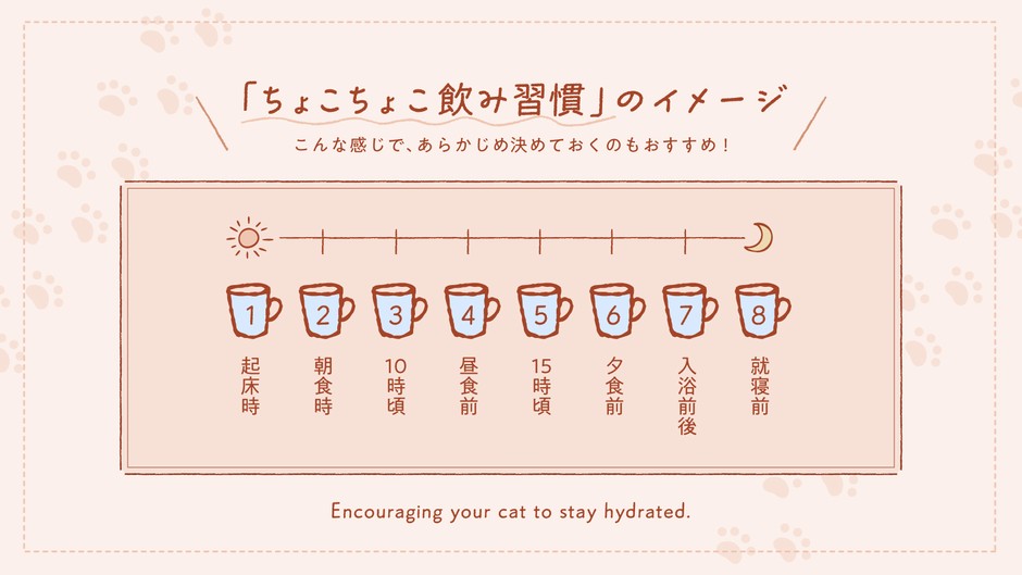 「ちょこちょこ飲み習慣」のイメージ