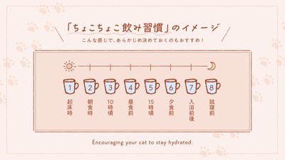 「ちょこちょこ飲み習慣」のイメージ