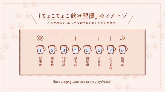 「ちょこちょこ飲み習慣」のイメージ