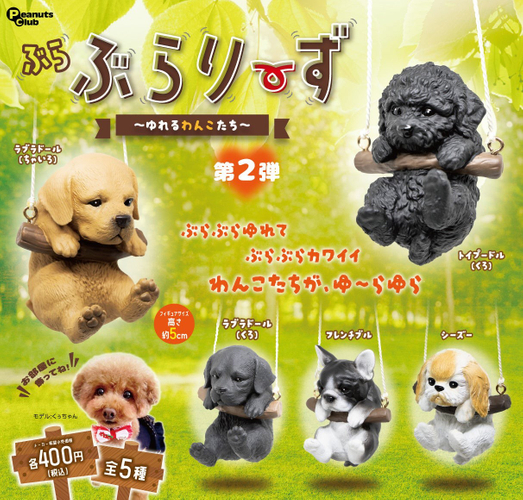 トイプードル（黒）