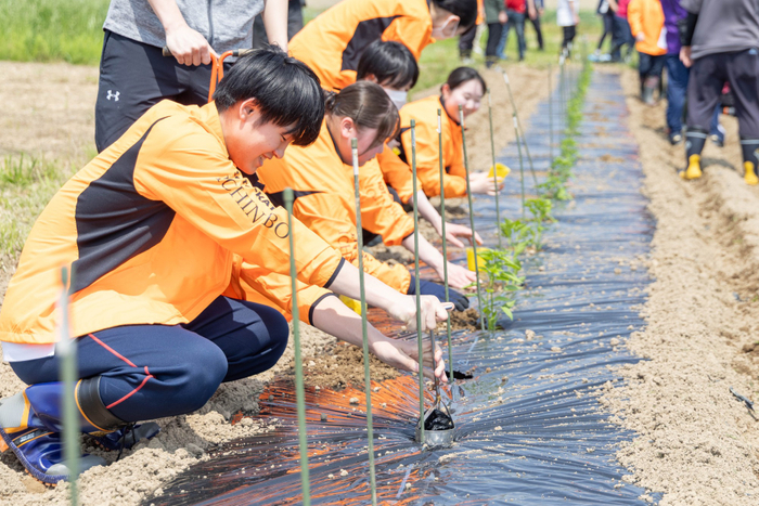 多品目野菜を育てる山田農園「一の坊ファーム」で、植え付け体験をする新入社員