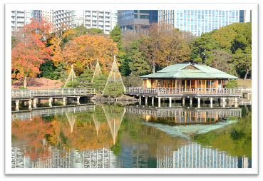 ポストカード（イメージ）