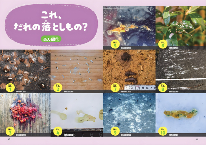 これ、だれの落としもの?(ふん編)