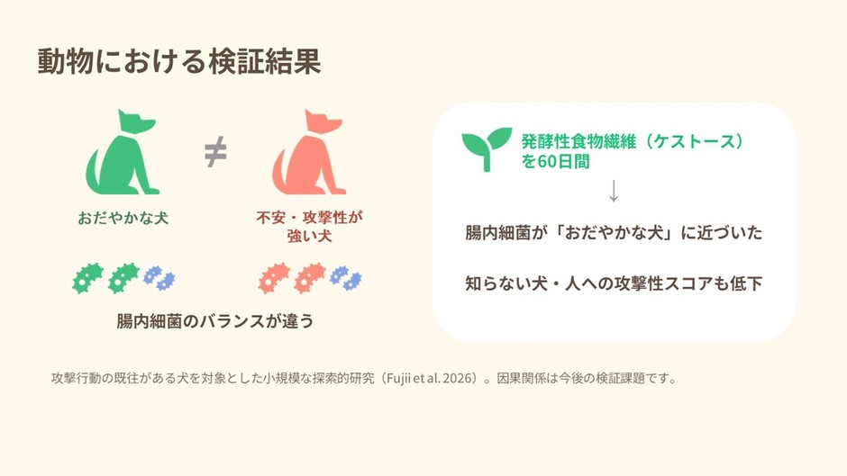 動物における行動検証