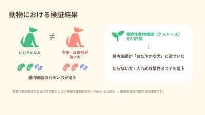 動物における行動検証