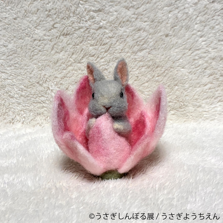 グッズ:うさぎようちえん