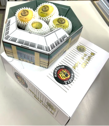 甲子園球場プレミアムケース