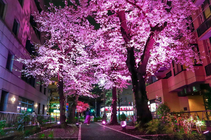 ※2025年 野一色由佳＿最優秀賞