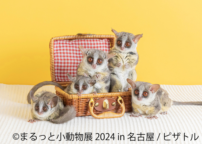 展示作品10