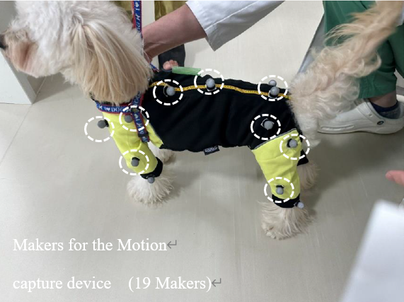 モーションキャプチャ用マーカーの配置