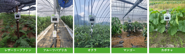 南種子町IoTセンシング機器設置の圃場