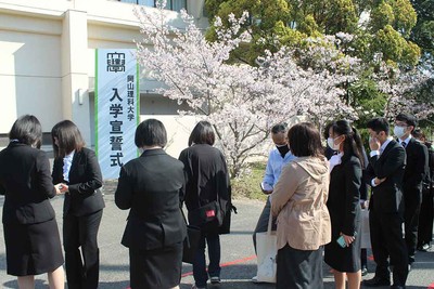 満開の桜が入学生を迎えました