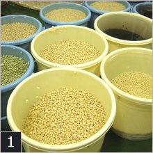 少量多品種の納豆づくり