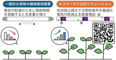 植物工場システム「エコブーストLEDソリューション」のご紹介