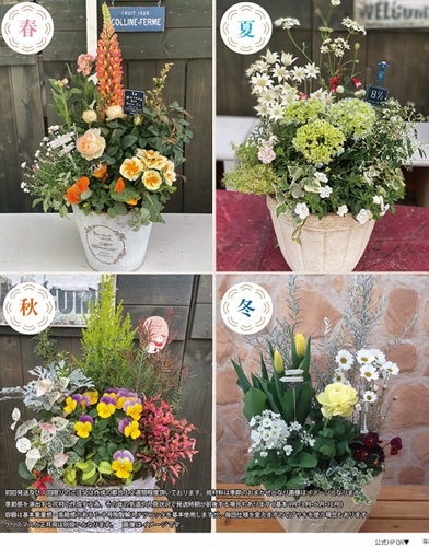 季節の寄せ植えテラコッタ