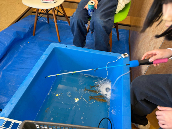 海老釣り体験の様子(1) ※写真は車海老